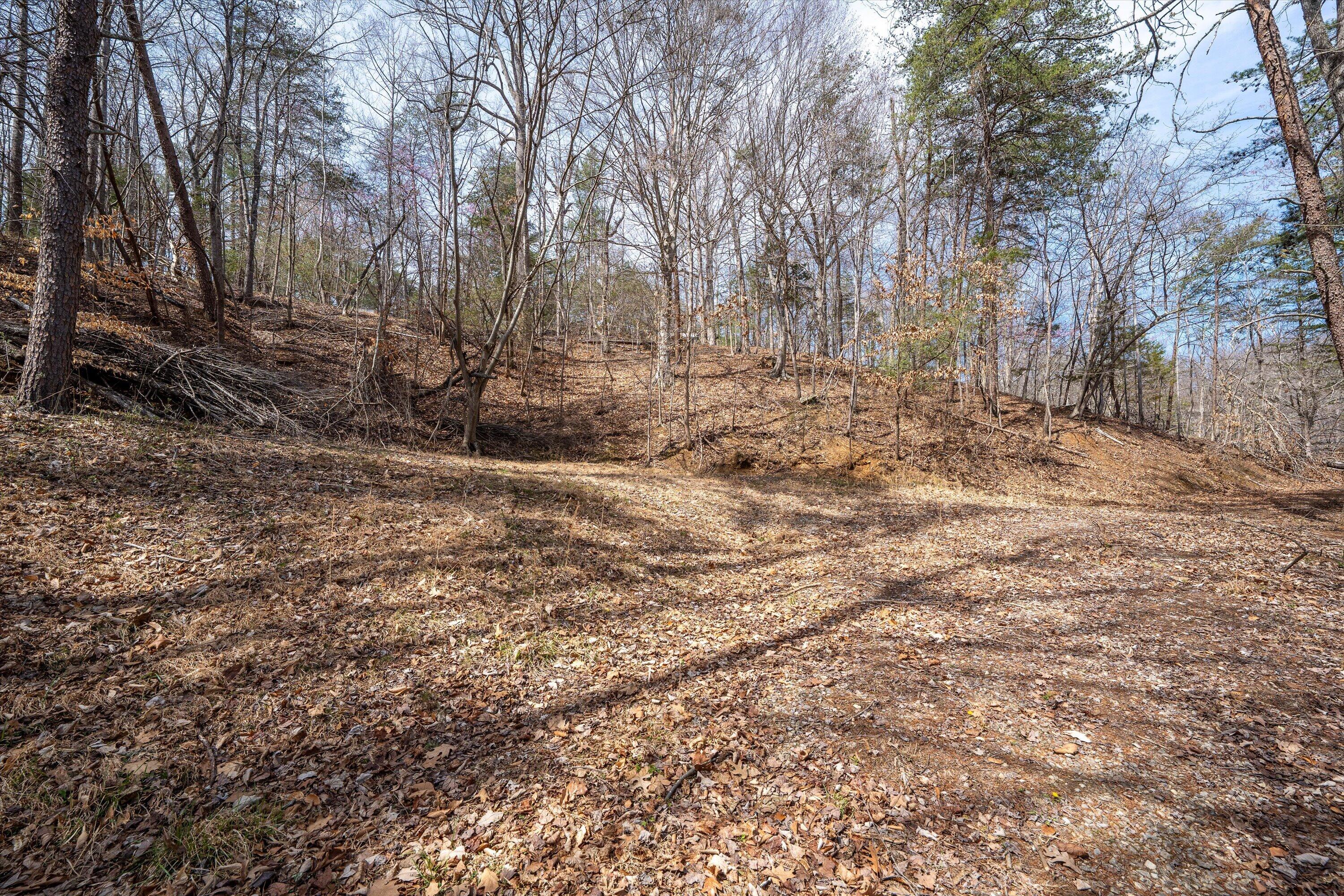 Tbd Tbd Judy Lane Moneta, VA 24121 - Photo 24 of 33 22-DSC (11)