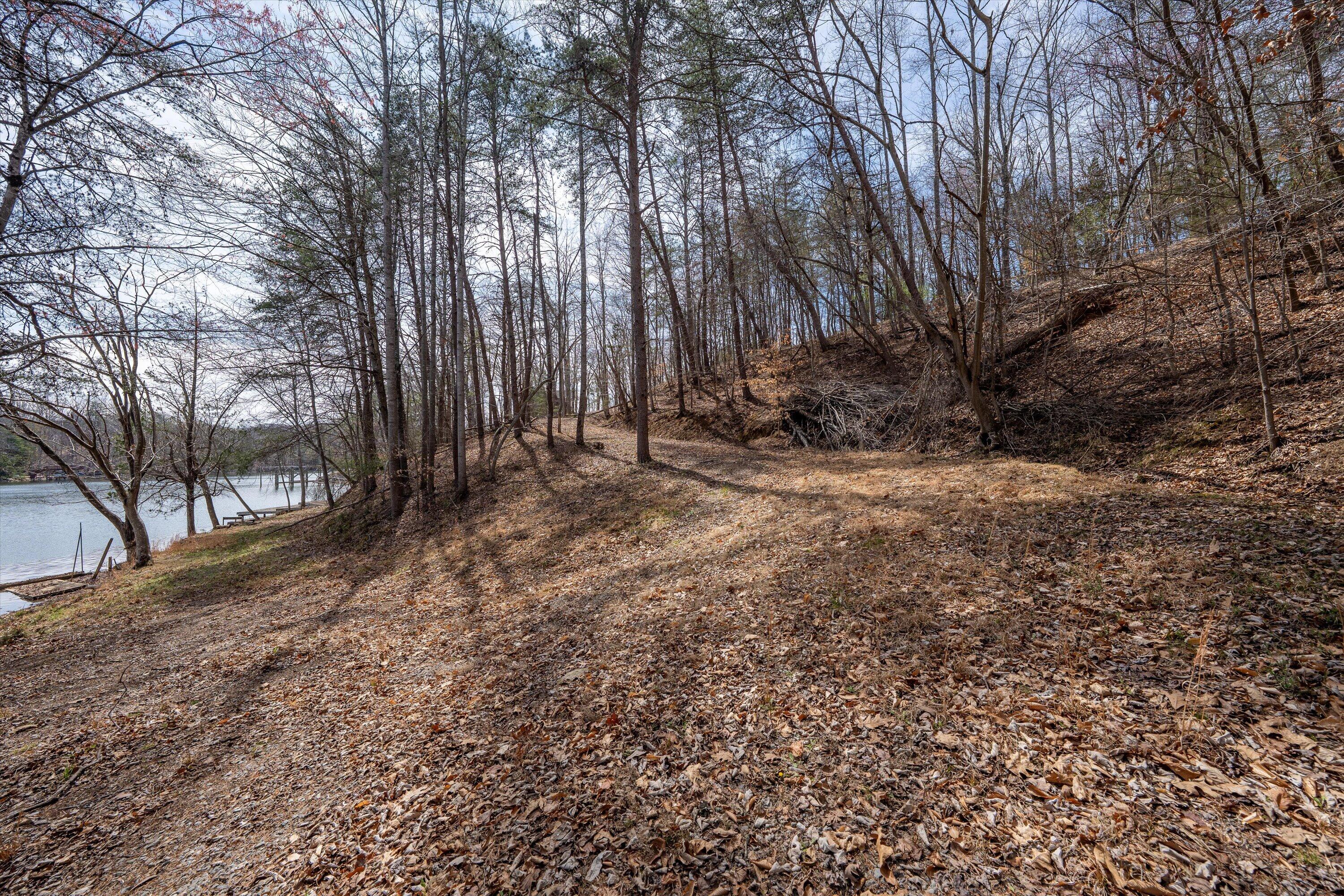 Tbd Tbd Judy Lane Moneta, VA 24121 - Photo 25 of 33 23-DSC (12)