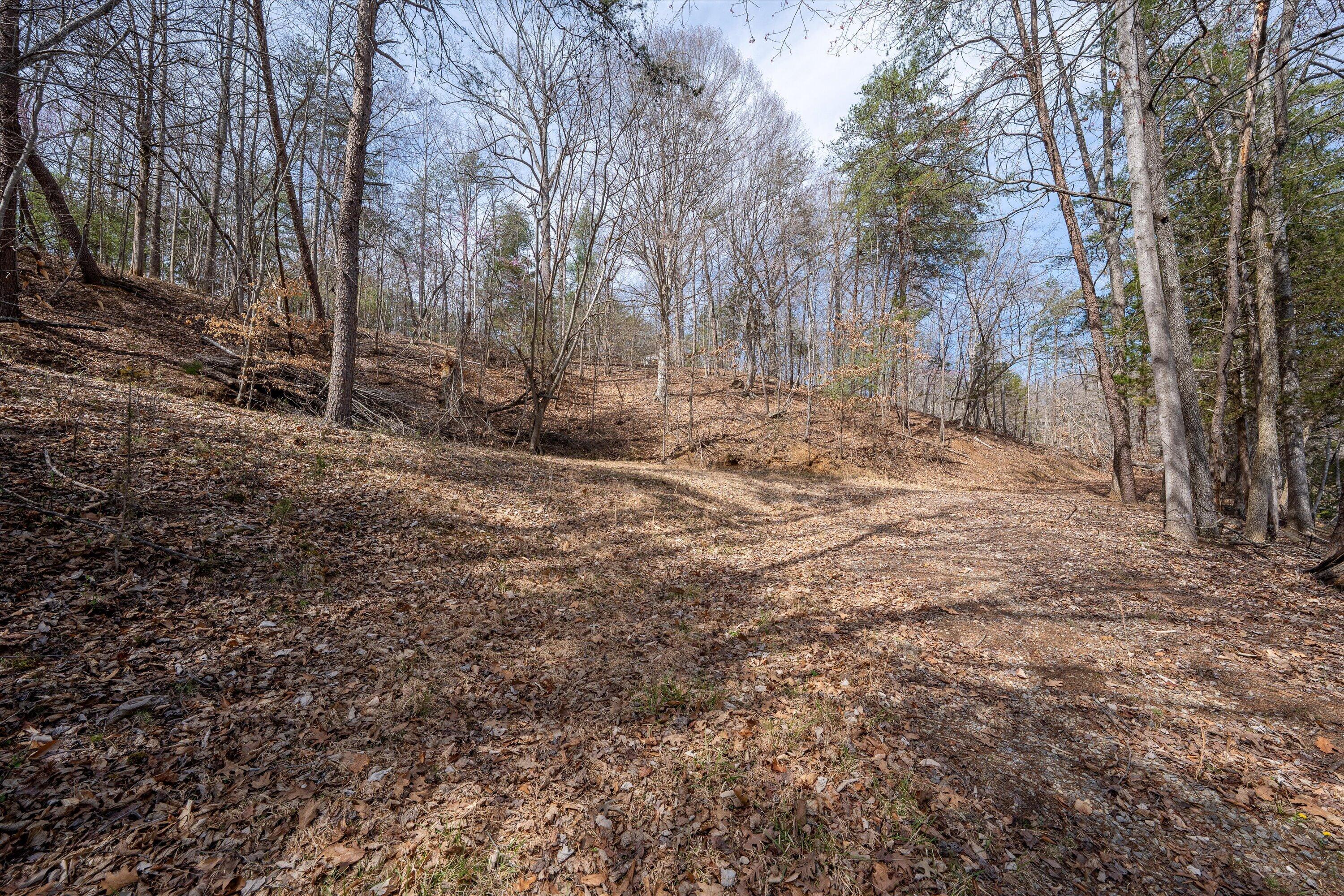 Tbd Tbd Judy Lane Moneta, VA 24121 - Photo 29 of 33 29-DSC (15)