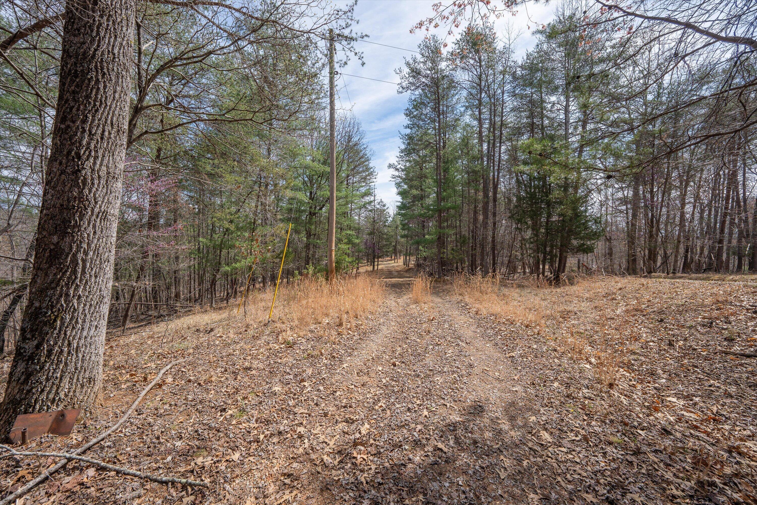 Tbd Tbd Judy Lane Moneta, VA 24121 - Photo 33 of 33 33-DSC (19)