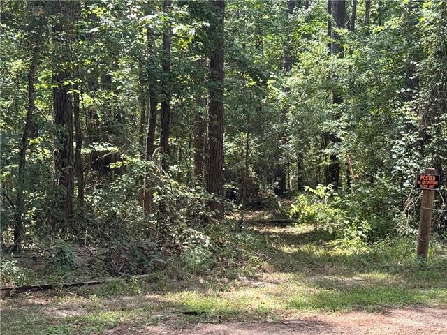 0 Lake Road Dry Prong, LA 71423 - Photo 3 of 7