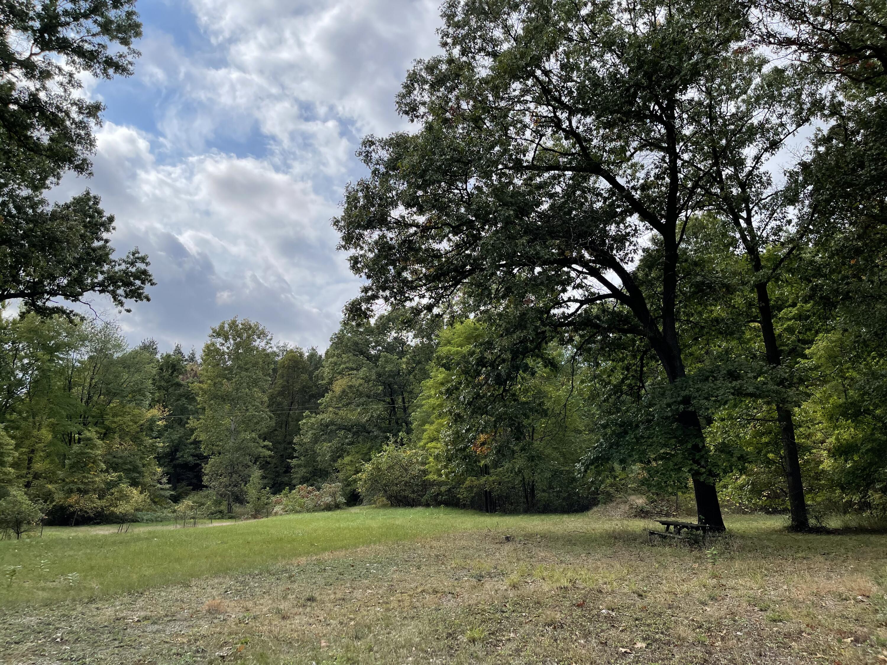 0 Lindsey Road Plainwell, MI 49080 - Photo 2 of 9 image_50429185