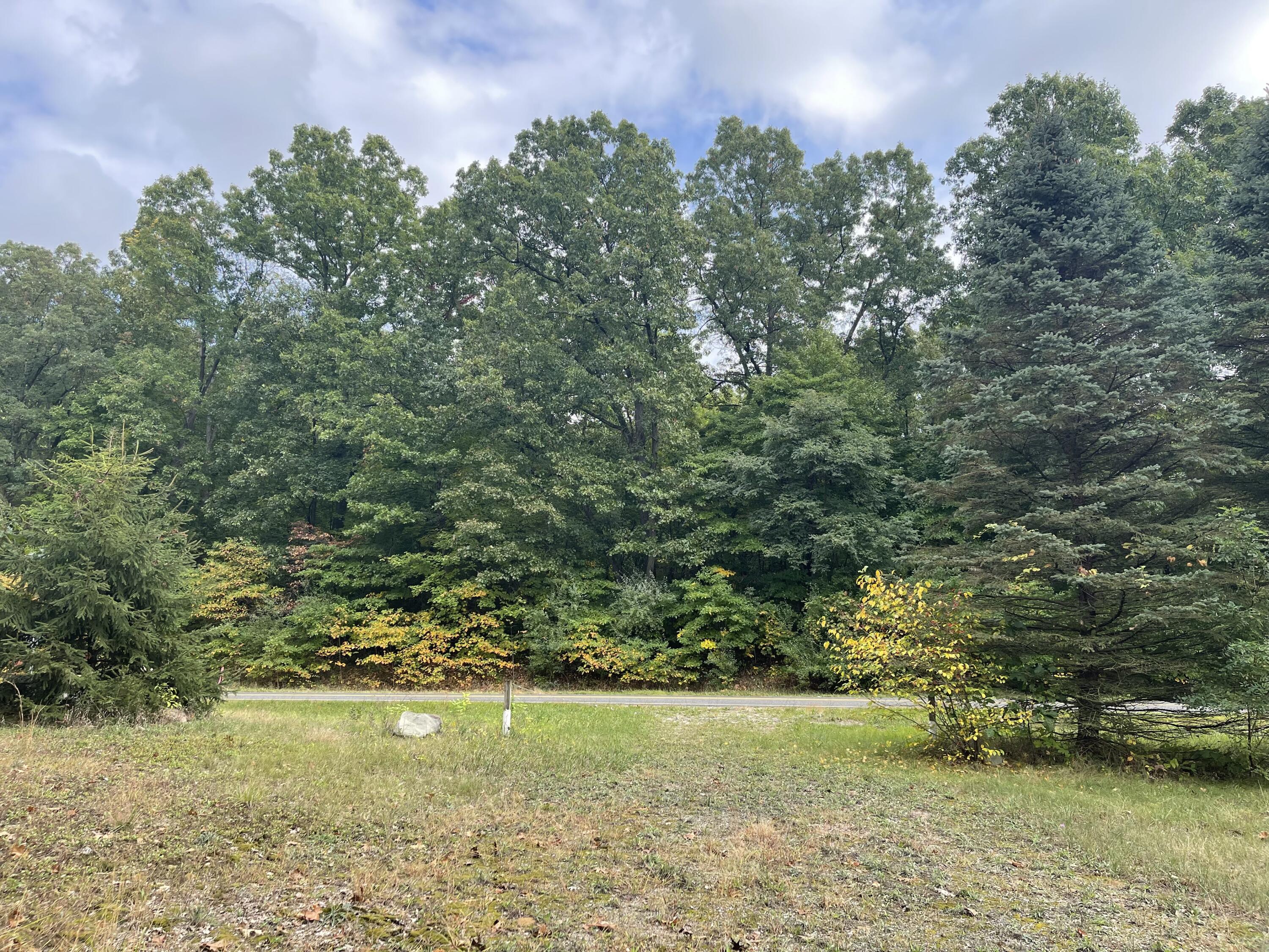 0 Lindsey Road Plainwell, MI 49080 - Photo 4 of 9 image_50440961