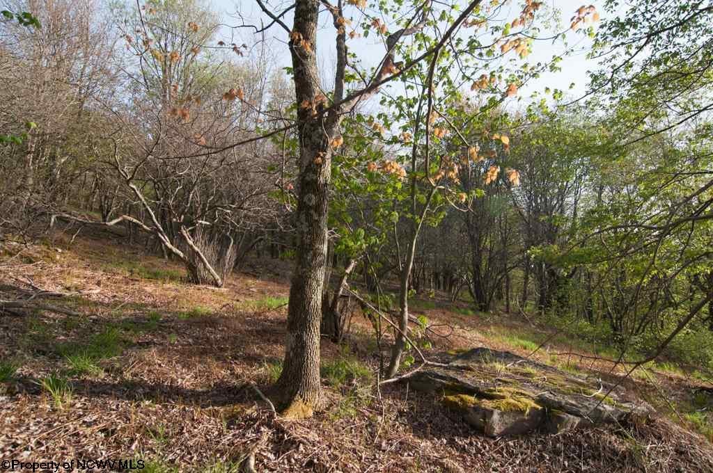 11 Mountainside Road Davis, WV 26260 - Photo 9 of 18 Gallery Image 9
