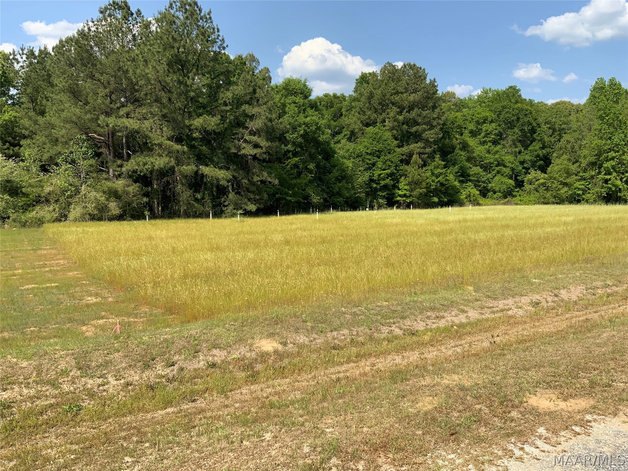 0 County Road Tuskegee, AL 36083 - Photo 1 of 13 Gallery Image 1