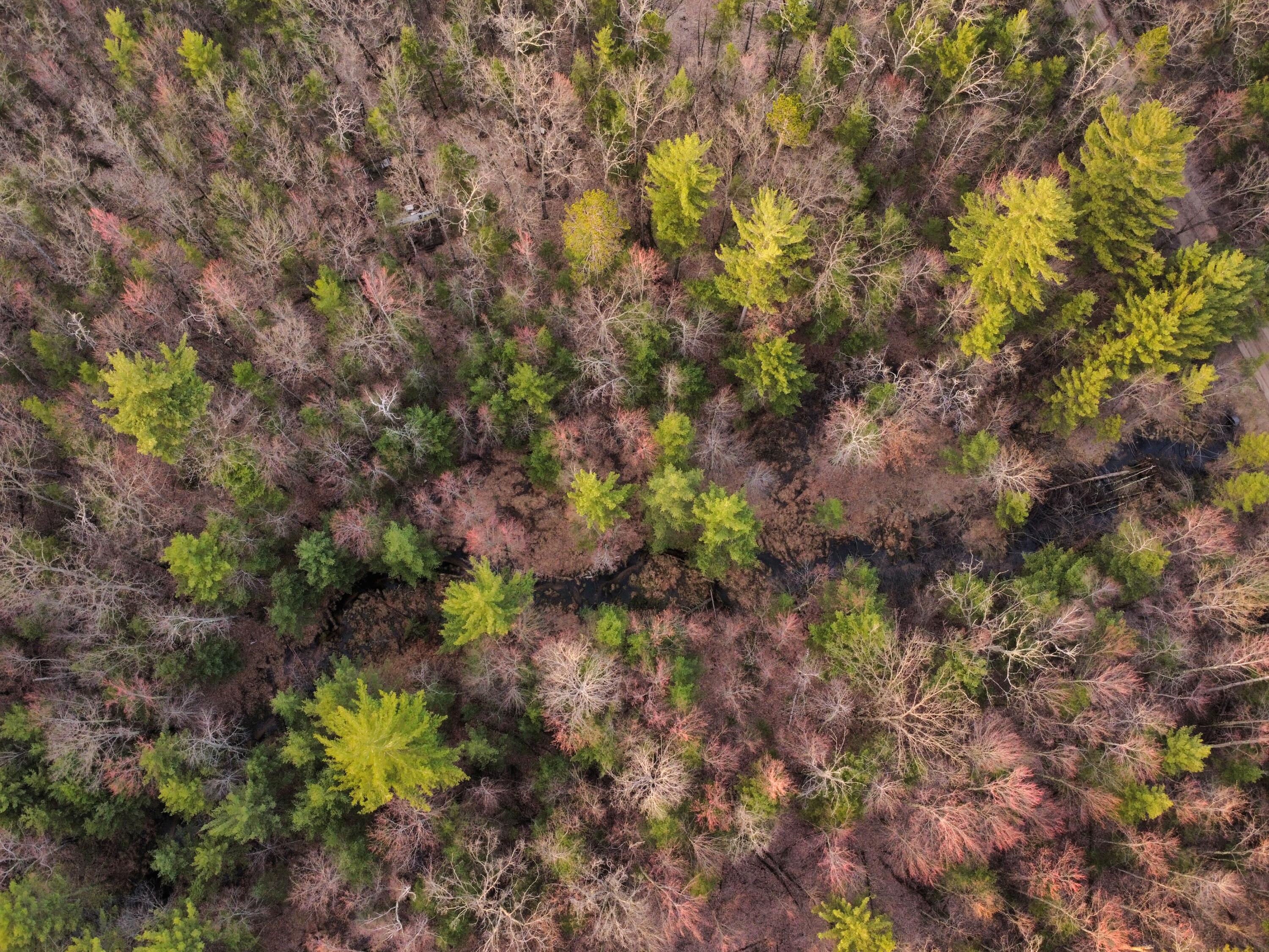 V/l Astor Road Irons, MI 49644 - Photo 4 of 16 dji_fly_20260416_193926_16_1776611302639