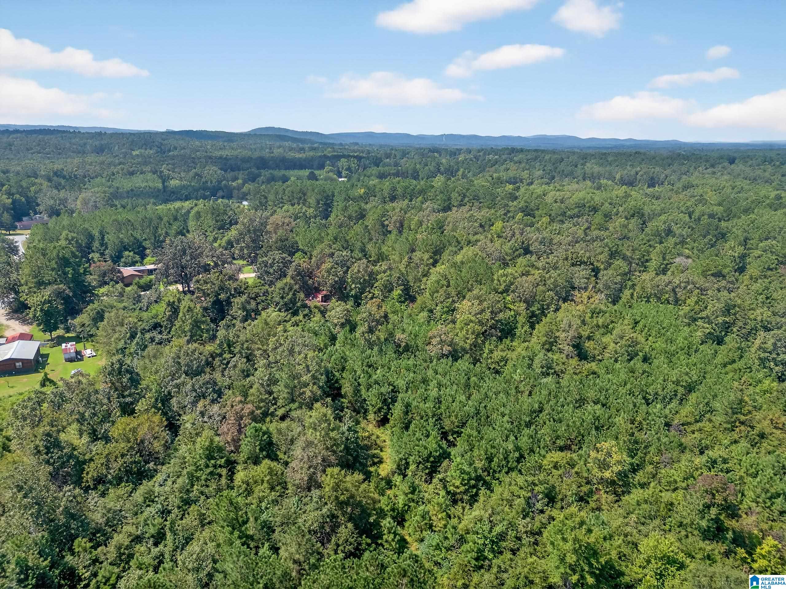 368 Jones Chapel Road Piedmont, AL 36272 - Photo 10 of 10