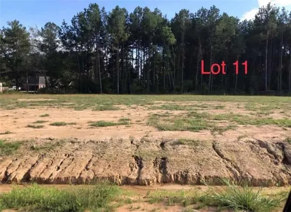 $50,000 | Lot 11 Theo Drive, Deville, LA 71328