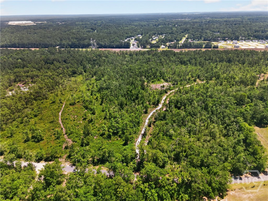 241 Barney Road Rincon, GA 31326 - Photo 7 of 7