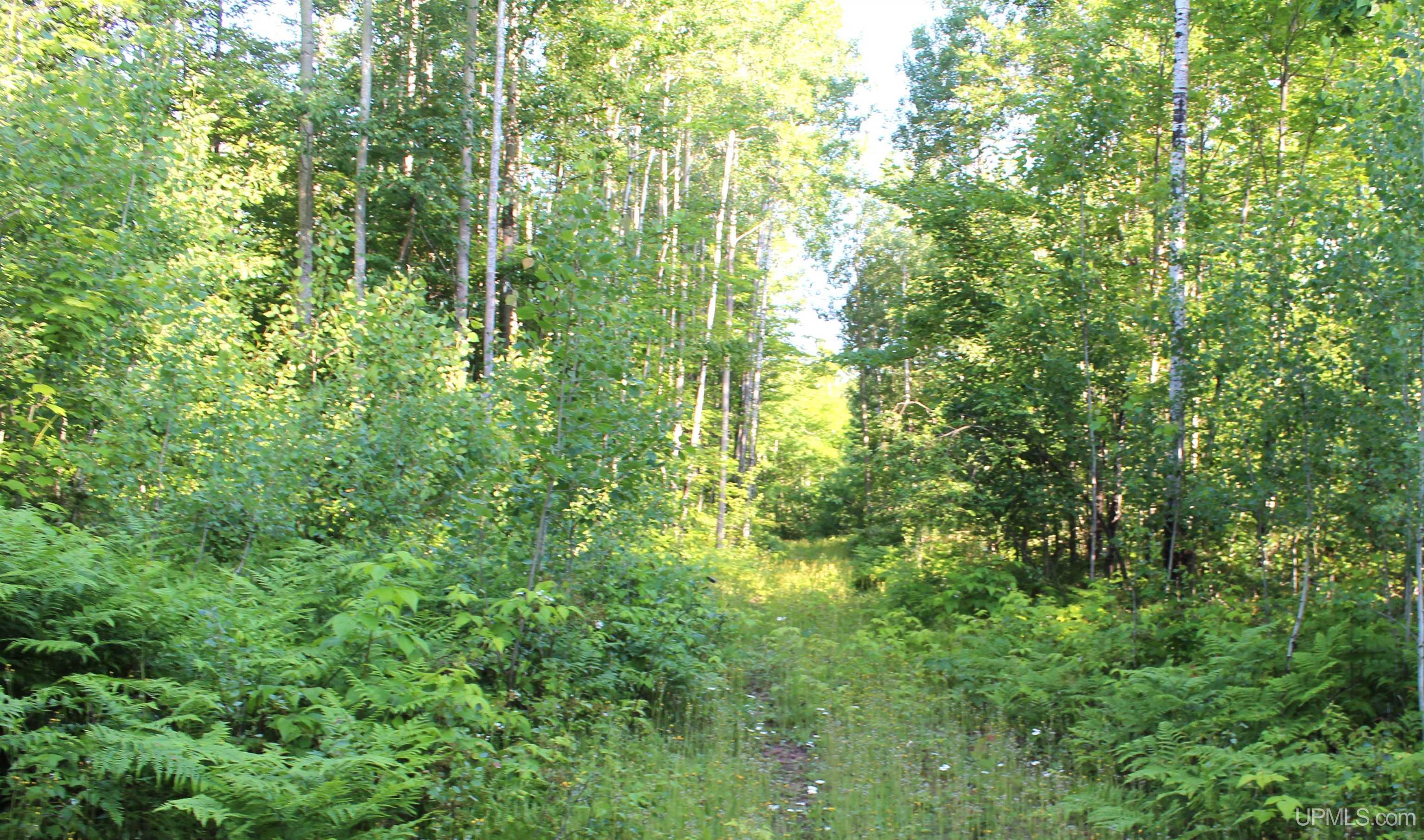 On Alder Cr Road Marquette, MI 49855 - Photo 5 of 20