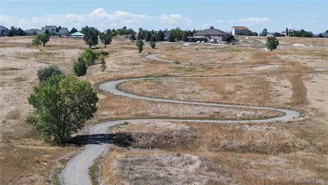 a view of a dry yard with trees