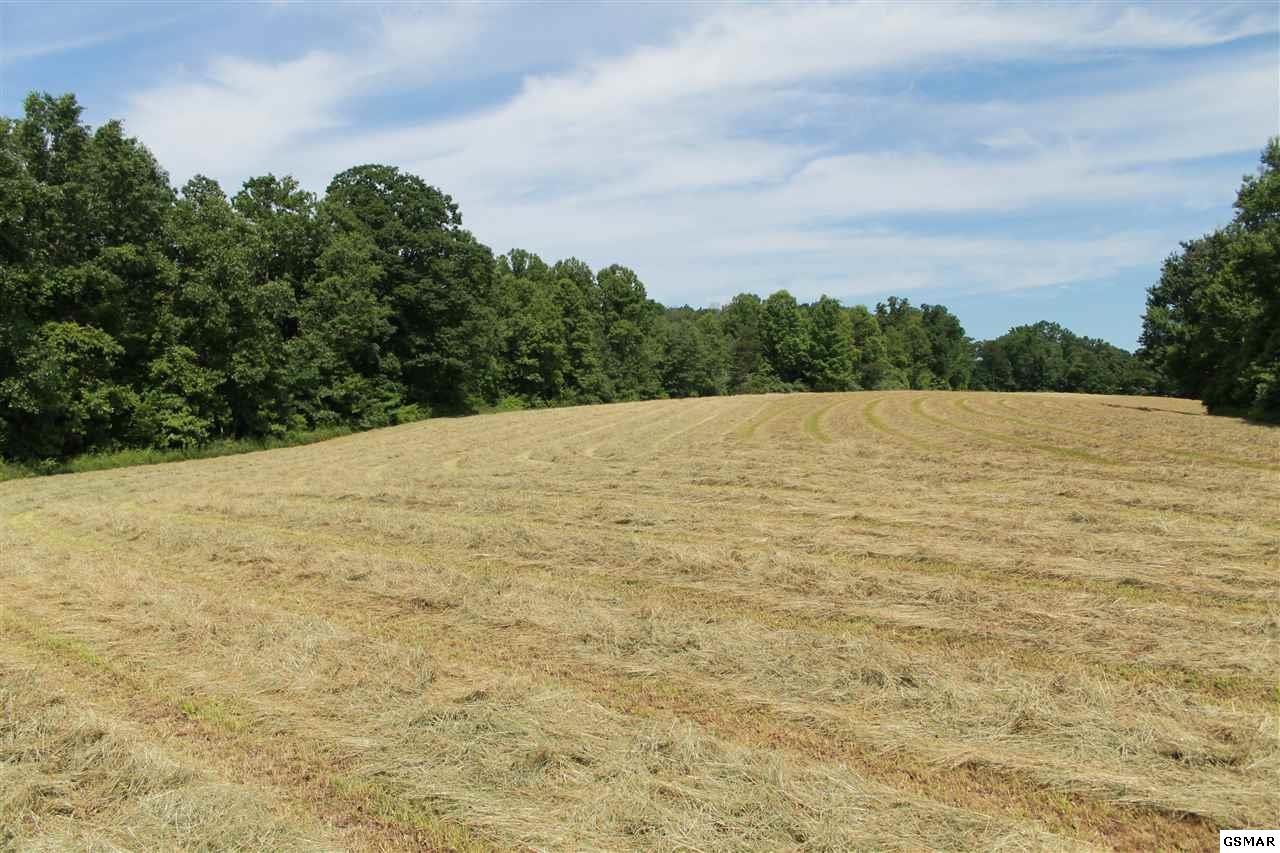0 Jr Cox Road Lancing, TN 37770 - Photo 19 of 35 Gallery Image 19