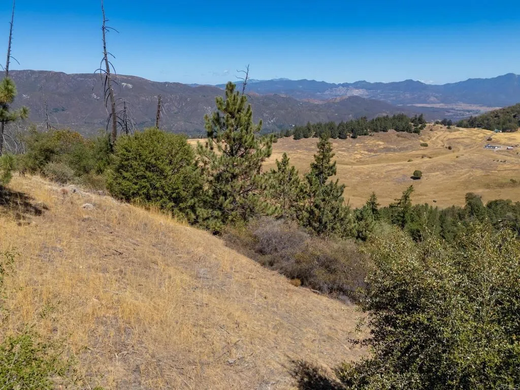 61 East Grade Road Palomar Mountain, CA 92060 - Photo 15 of 26 Gallery Image 15