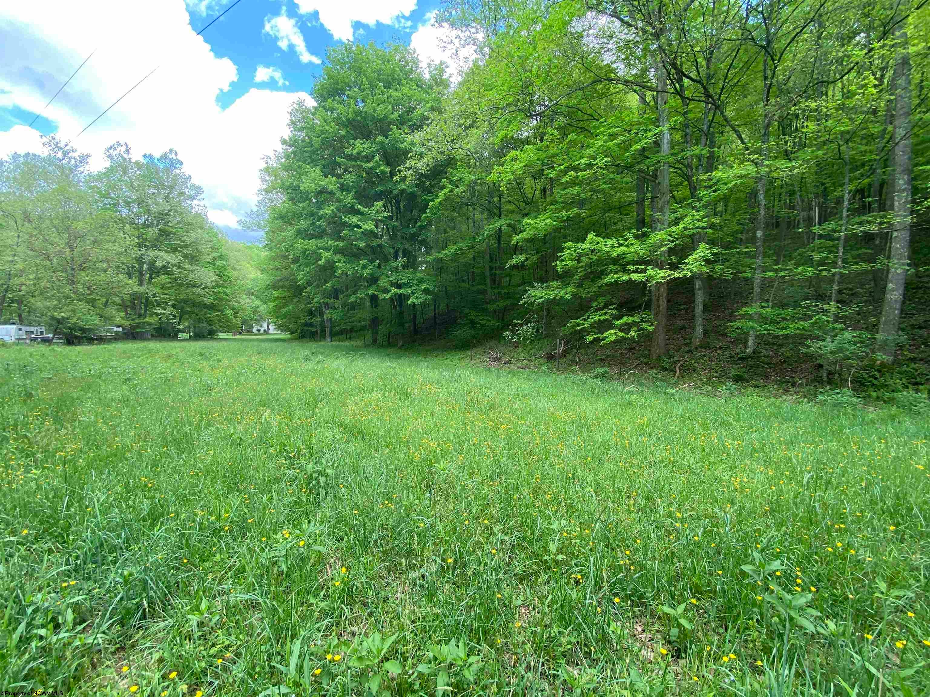 Tbd Dunham Lick Road Fairmont, WV 26554 - Photo 11 of 27 Gallery Image 11