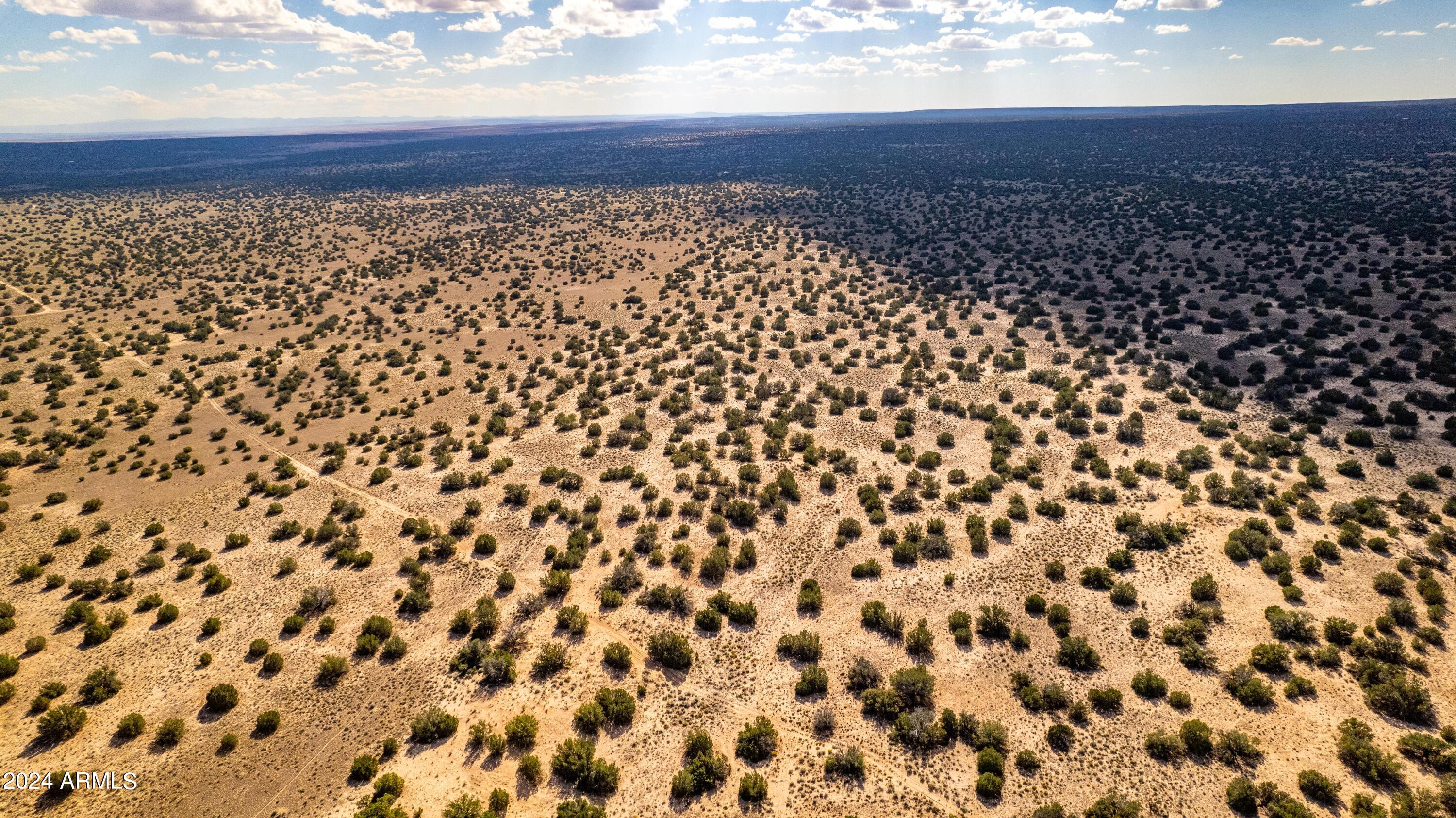 N7204 North N7204 St. Johns, AZ 85936 - Photo 11 of 23 a view of a large yard
