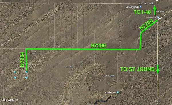 a view of a dry yard with trees