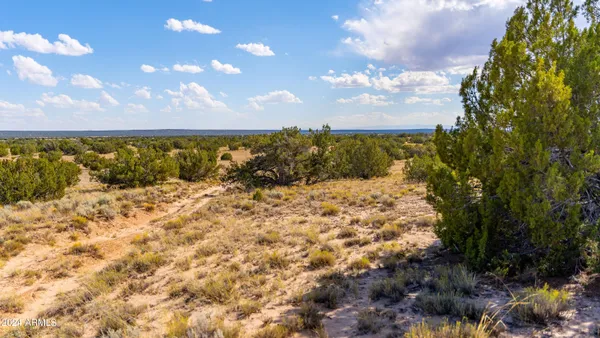 a view of a yard covered with snow