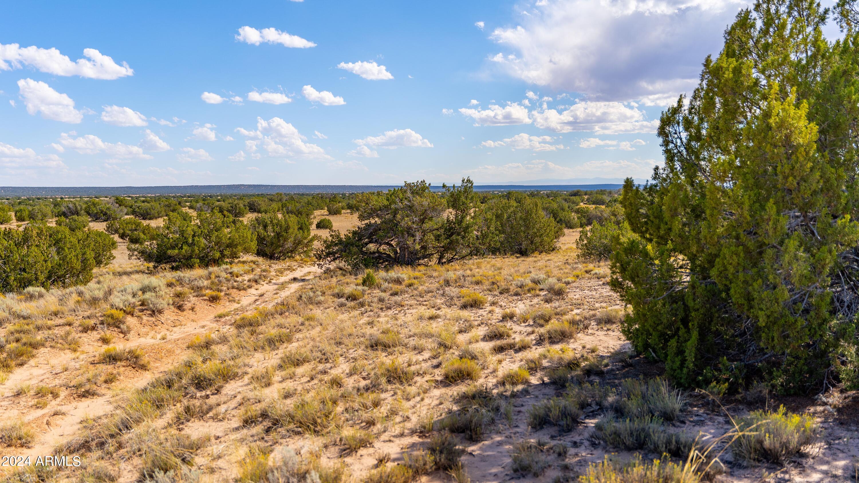 N7204 North N7204 St. Johns, AZ 85936 - Photo 16 of 23
