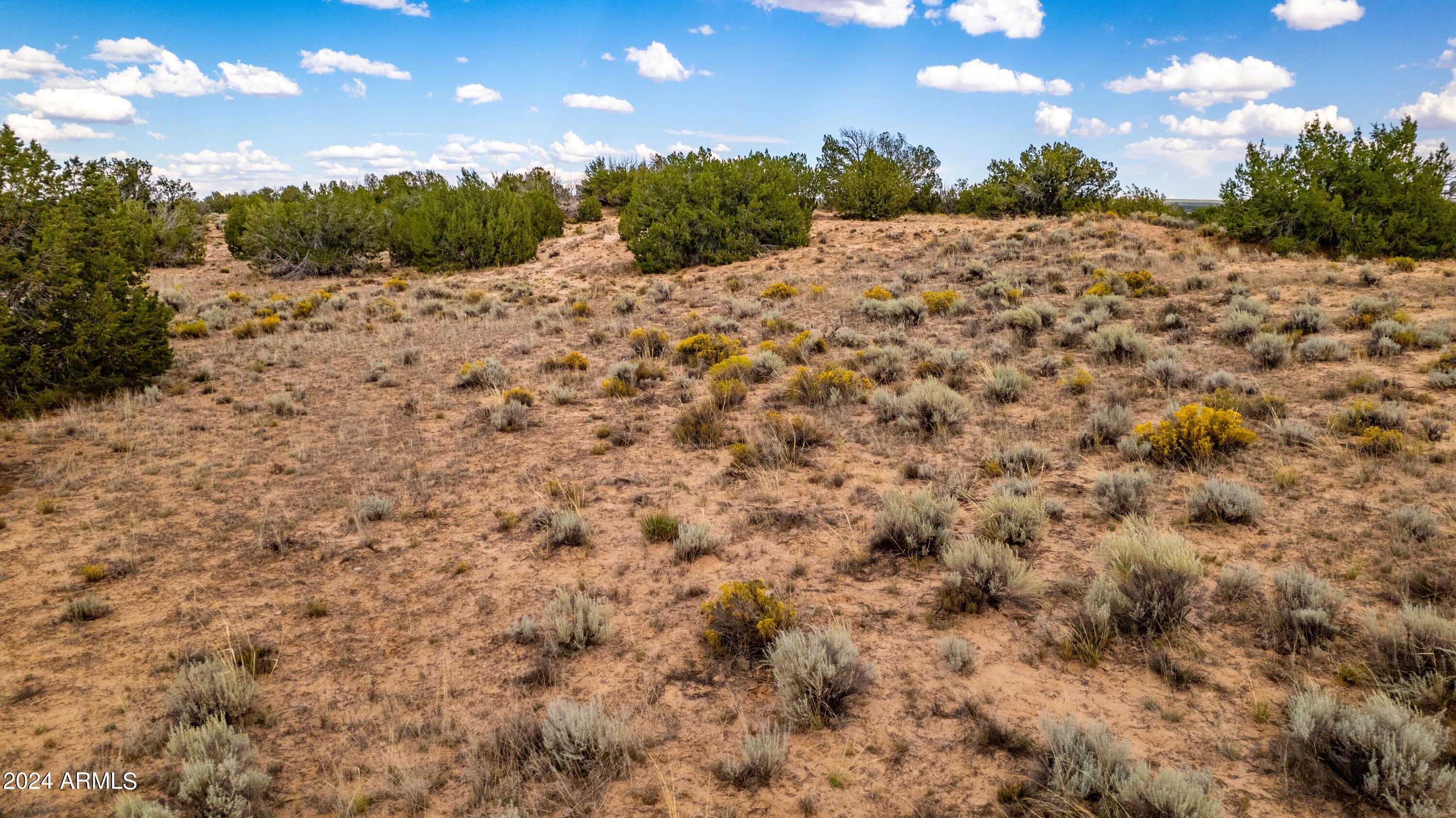 N7204 North N7204 St. Johns, AZ 85936 - Photo 18 of 23 a view of a dry yard with trees in the background
