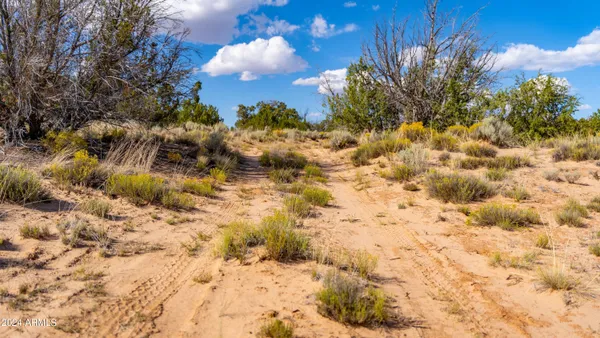 a view of a black and white checkered floor