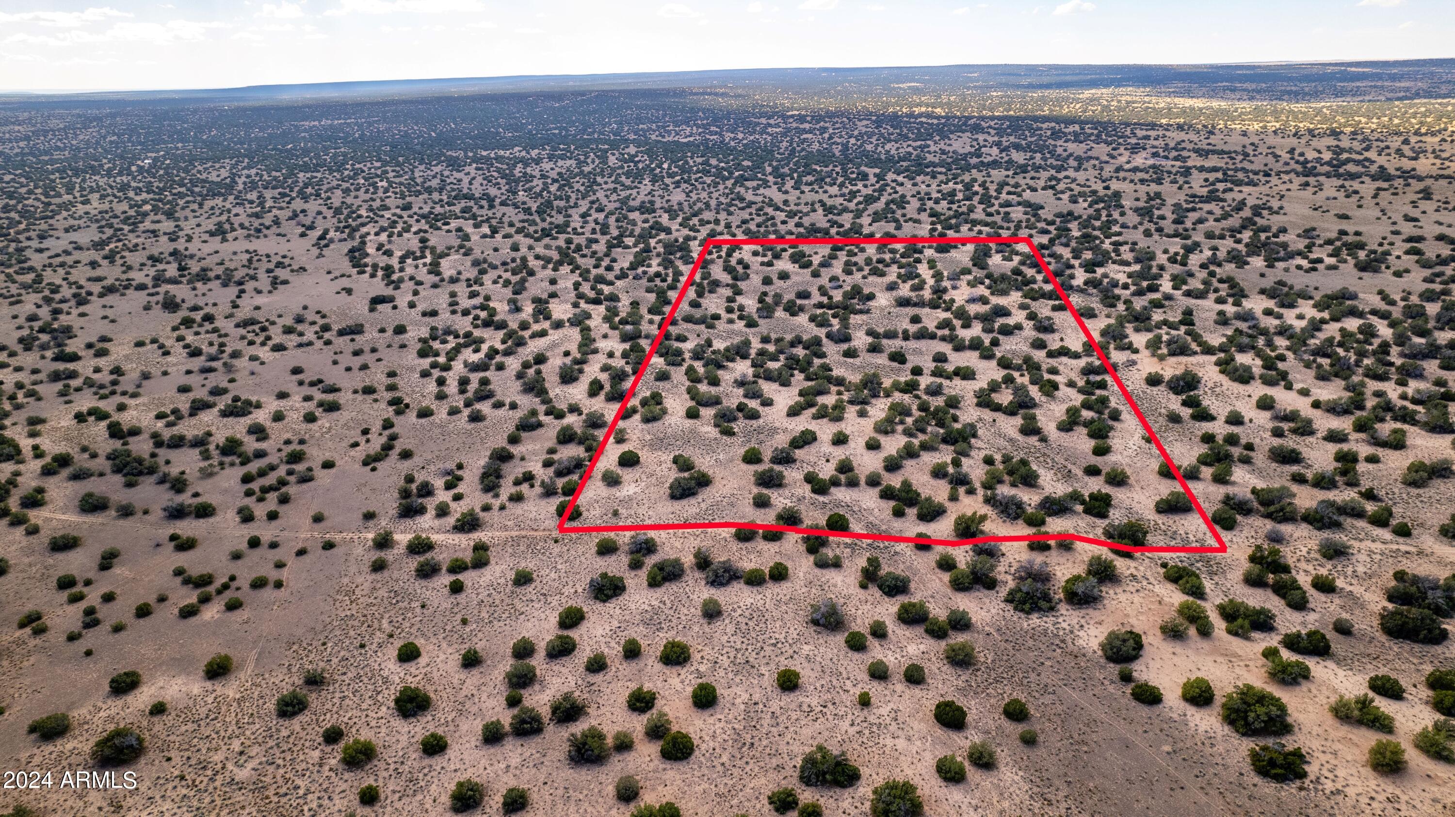N7204 North N7204 St. Johns, AZ 85936 - Photo 9 of 23 a view of a black and white checkered floor