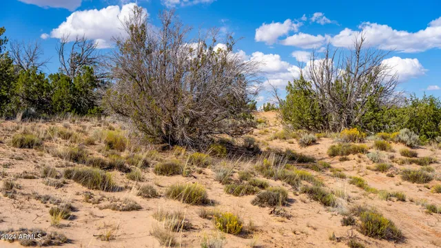 a view of a large yard