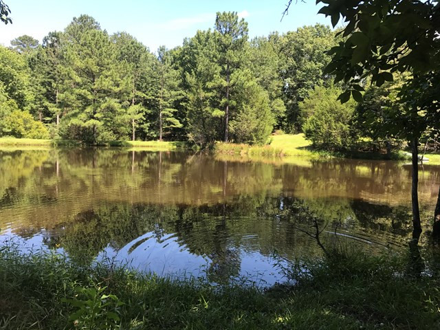 Lot 5 Guillebeau Road Lincolnton, GA 30817 - Photo 13 of 25 Gallery Image 13