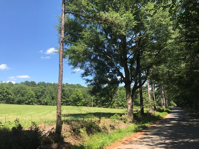 Lot 5 Guillebeau Road Lincolnton, GA 30817 - Photo 22 of 25 Gallery Image 22