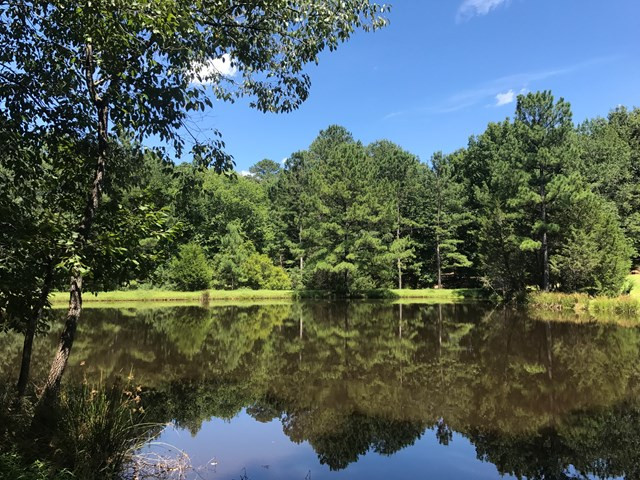Lot 5 Guillebeau Road Lincolnton, GA 30817 - Photo 10 of 25 Gallery Image 10