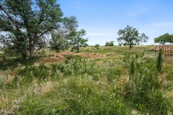 a view of a lake with a yard