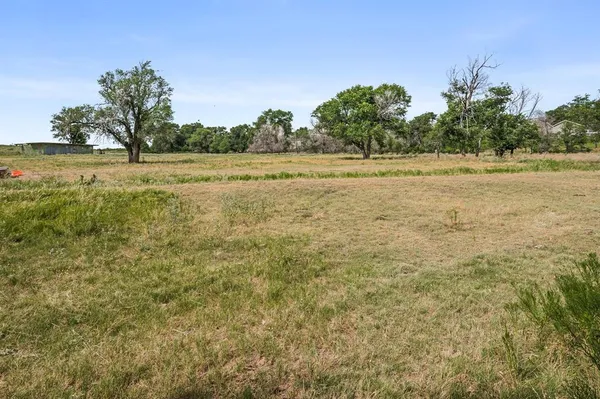 a view of a field with trees in background