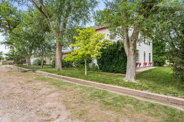 a view of a backyard with large trees