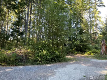 a view of outdoor space and trees
