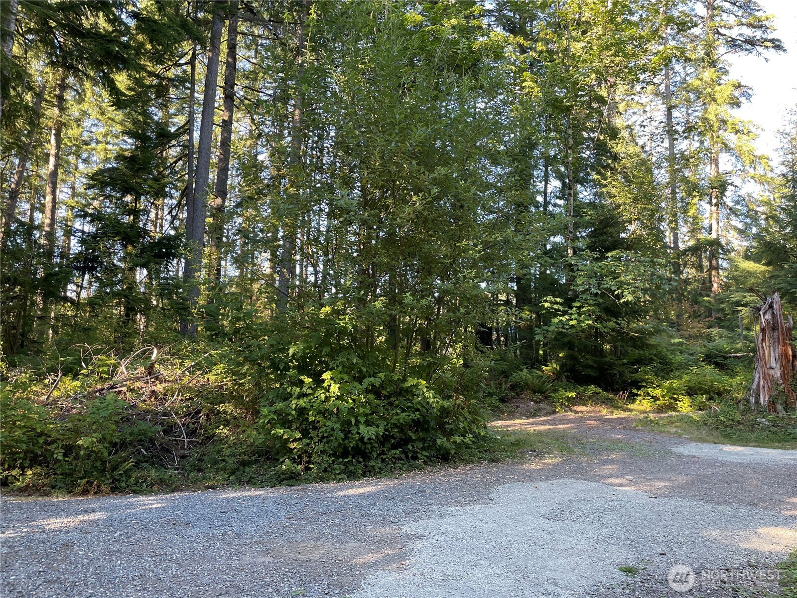 a view of outdoor space and trees