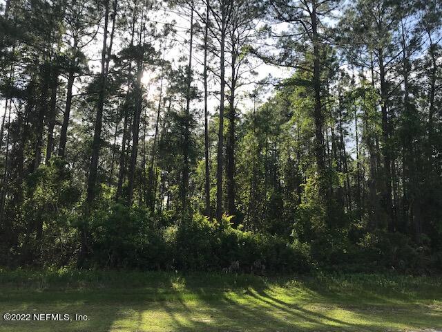 103 Whispering Pines Road Georgetown, FL 32139 - Photo 5 of 8 LOT VIEW IMG_9386