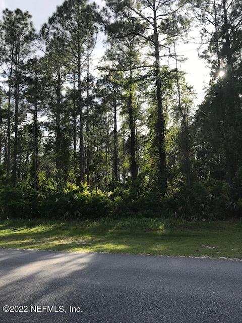 103 Whispering Pines Road Georgetown, FL 32139 - Photo 6 of 8 LOT VIEW IMG_9390