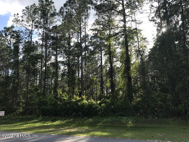 103 Whispering Pines Road Georgetown, FL 32139 - Photo 7 of 8 MATURE PINE ON LOT IMG_9391