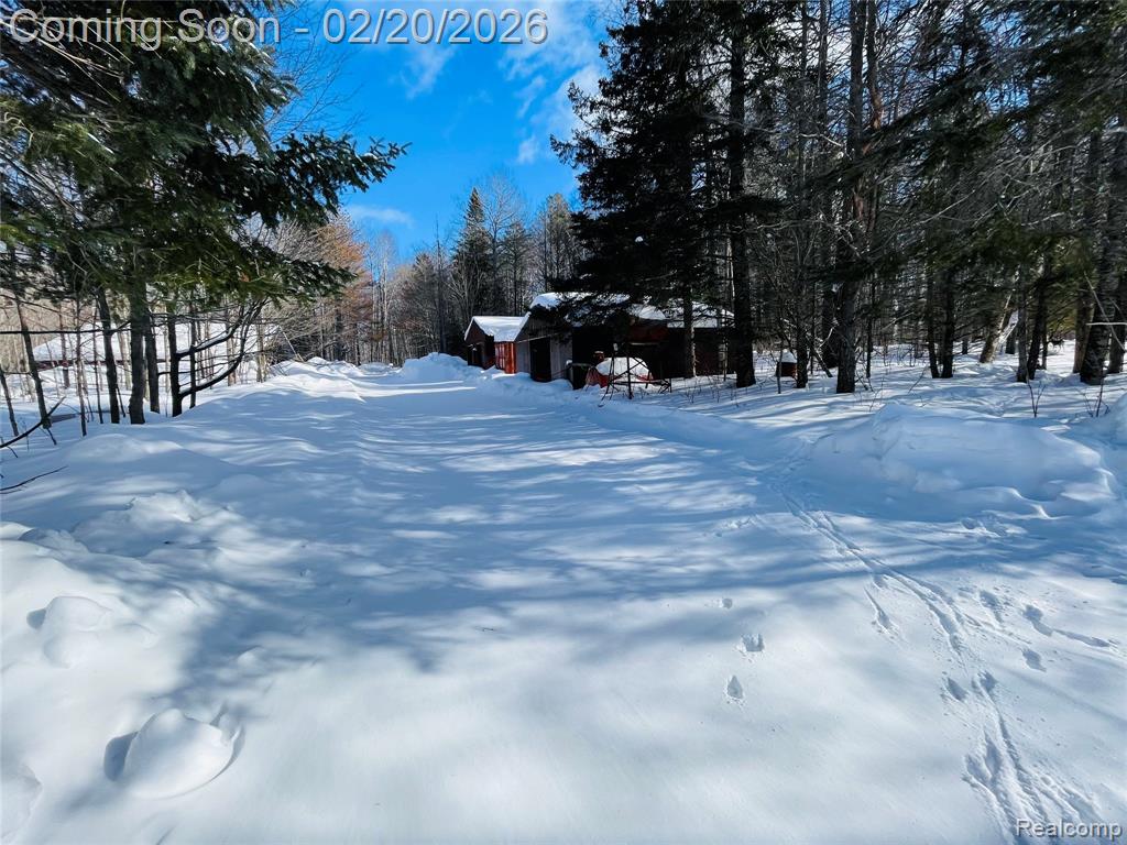 21805 South Wilwin Road Trout Lake, MI 49793 - Photo 35 of 54