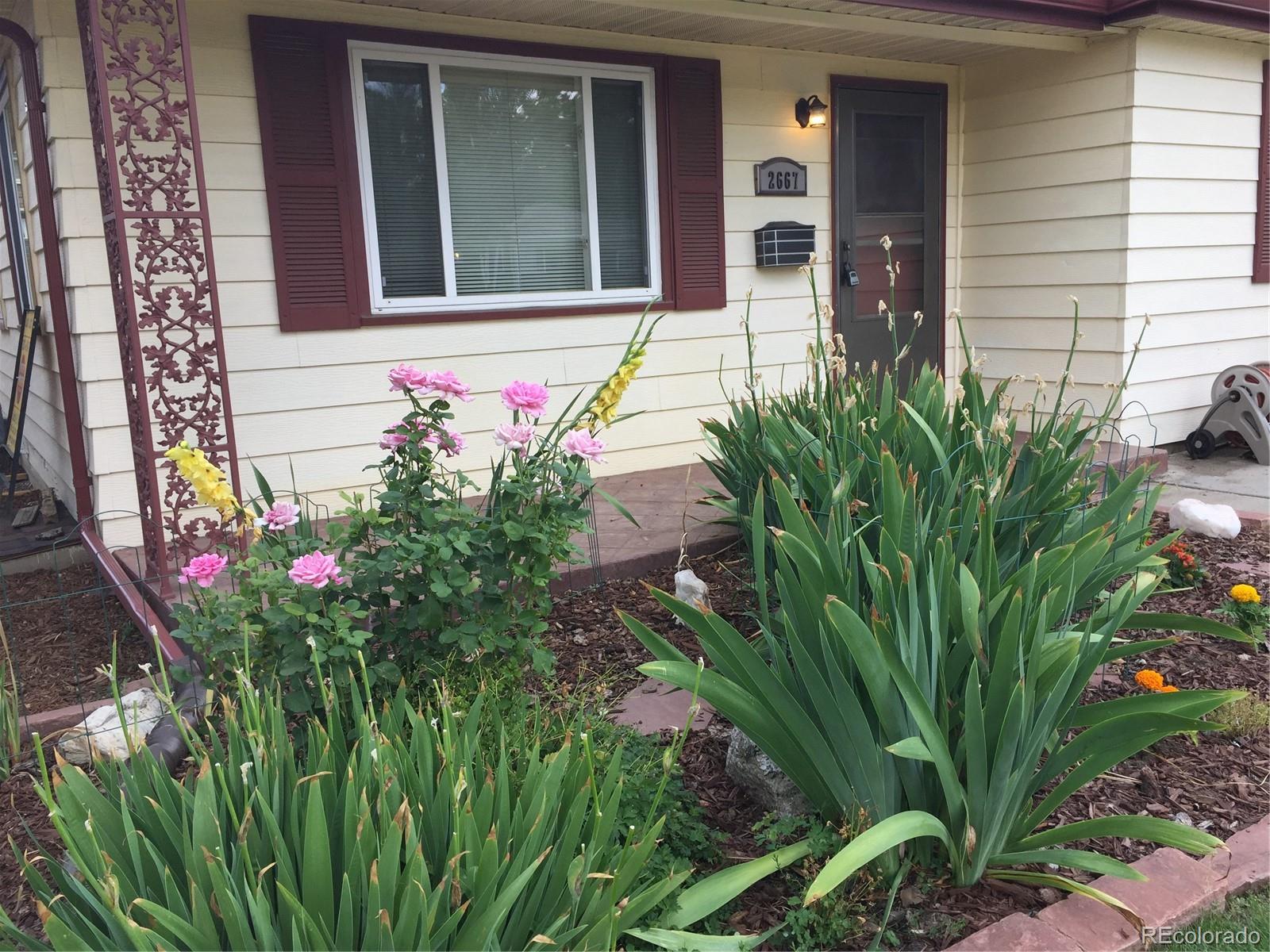 2667 Gray Street Wheat Ridge, CO 80214 - Photo 2 of 34
