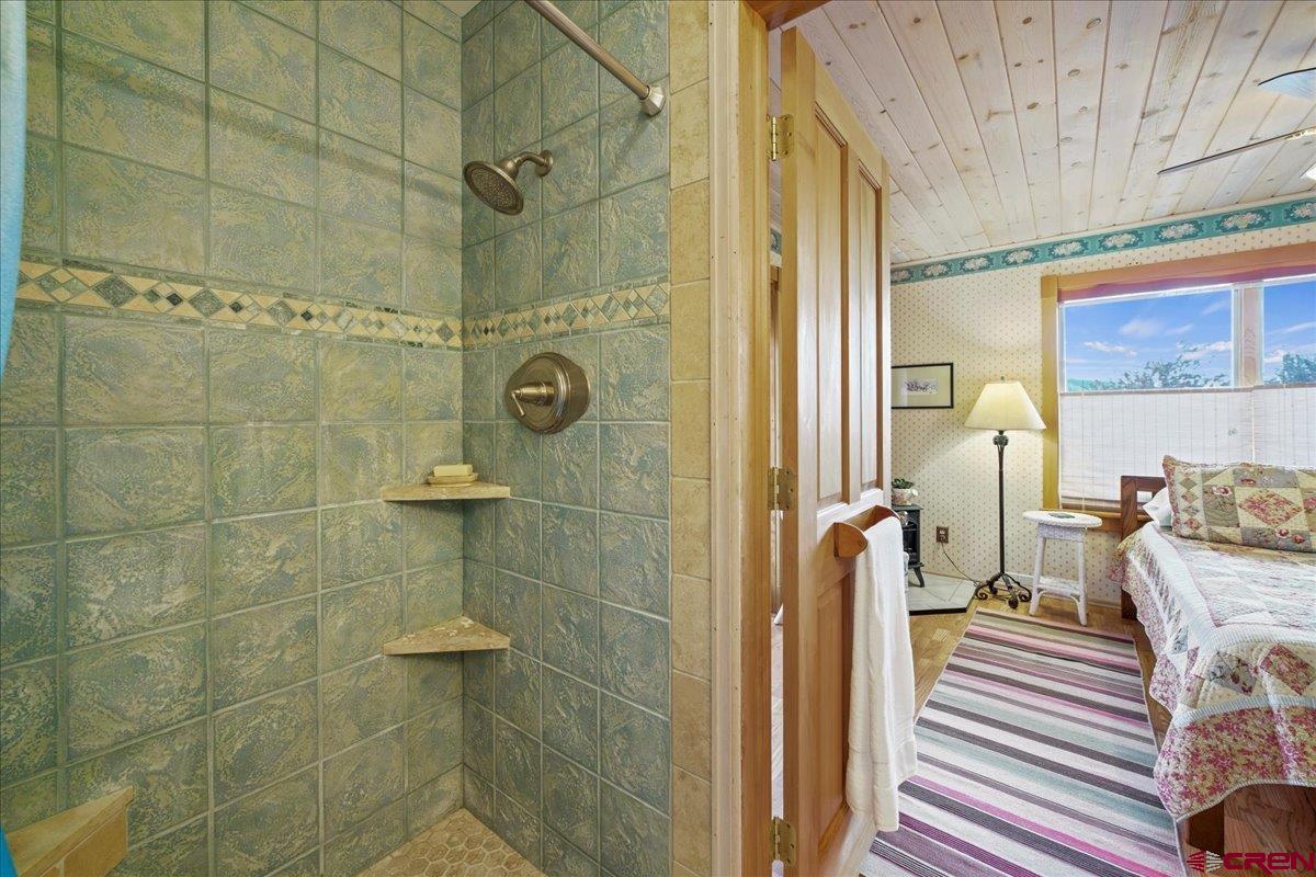 751 Charles Street Ridgway, CO 81432 - Photo 19 of 35 Gallery Image 19