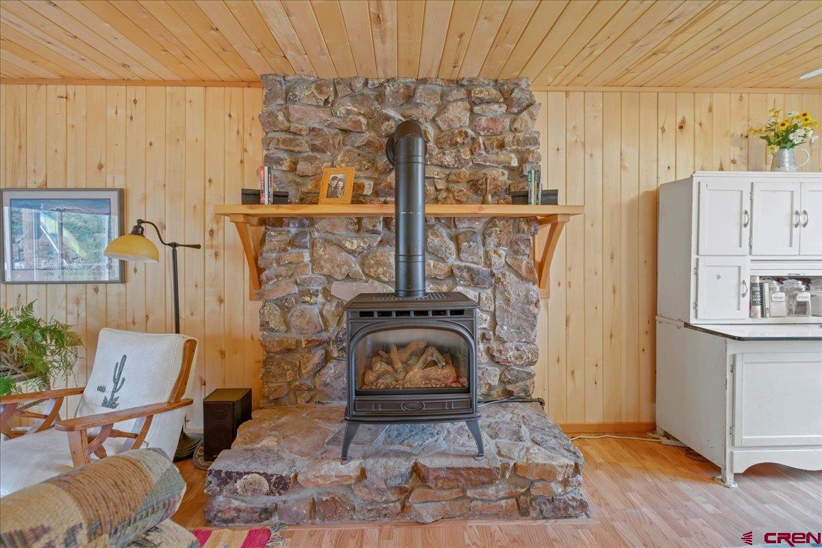 751 Charles Street Ridgway, CO 81432 - Photo 10 of 35 Gallery Image 10
