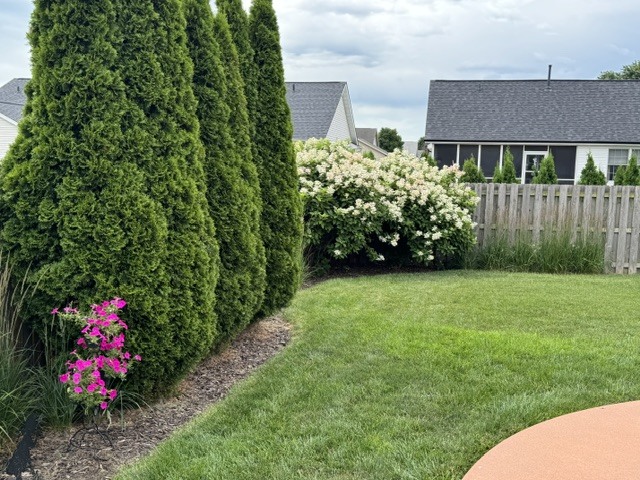 318 Piazza Lane Chatham, IL 62629 - Photo 4 of 43