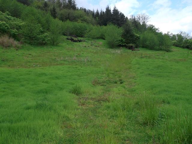 Tl#101 East Beaver Creek Road Beaver, OR 97112 - Photo 2 of 13 001