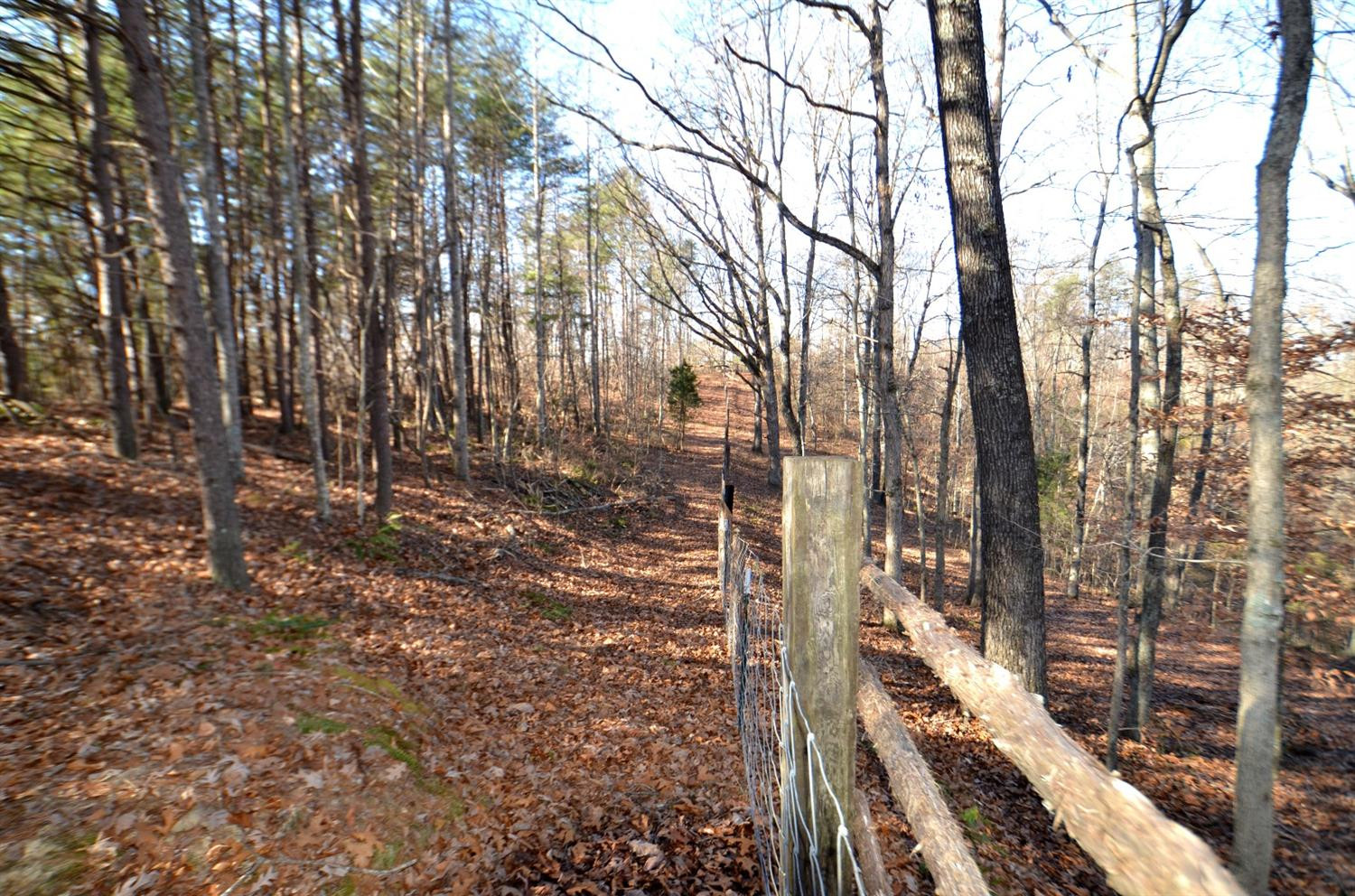 146 Opossum Run Road Irvine, KY 40336 - Photo 4 of 64 Almost the entire farm is fenced and rea
