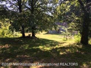 1780 Tulane Road Nesbit, MS 38651 - Photo 12 of 29 IMG_5248