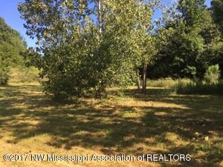 1780 Tulane Road Nesbit, MS 38651 - Photo 2 of 29 IMG_5237