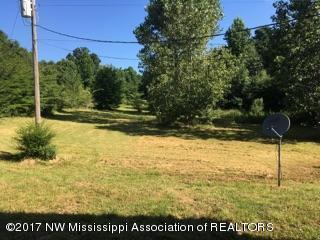 1780 Tulane Road Nesbit, MS 38651 - Photo 6 of 29 IMG_5232