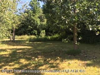 1780 Tulane Road Nesbit, MS 38651 - Photo 8 of 29 IMG_5236