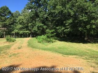 1780 Tulane Road Nesbit, MS 38651 - Photo 10 of 29 IMG_5240