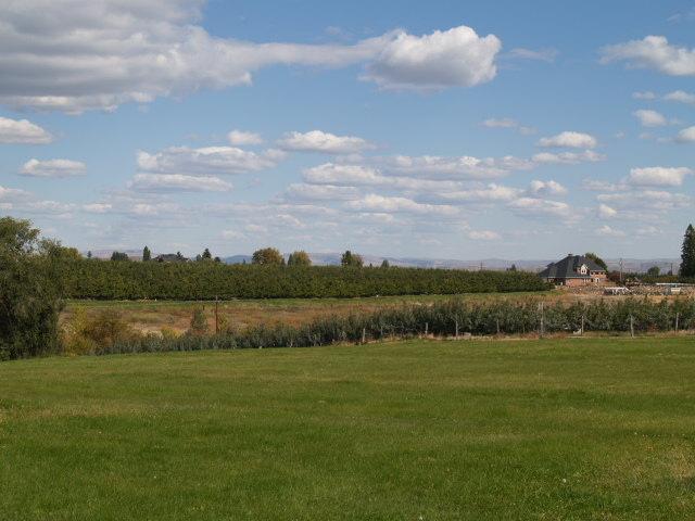 a view of lake with houses in the back